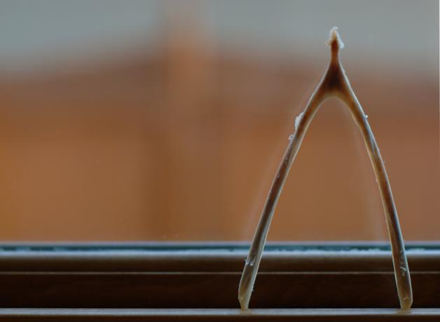wishbone