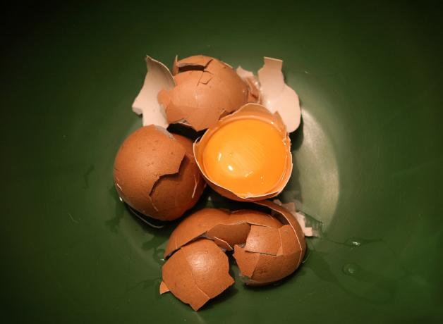 Broken eggs and eggshells