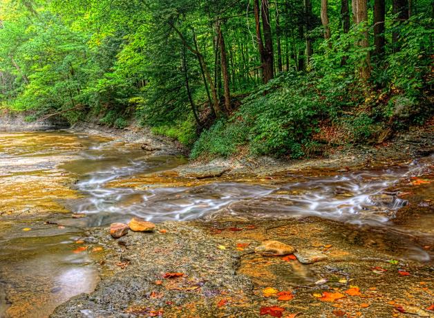 A slow, burbeling brook