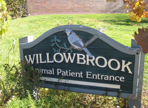 Willowbrook Wildlife Center rehabilitates birds surviving building-strikes
