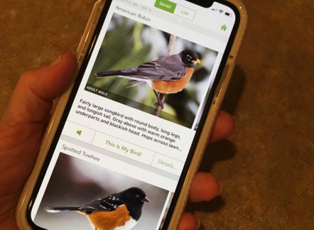 Merlin App