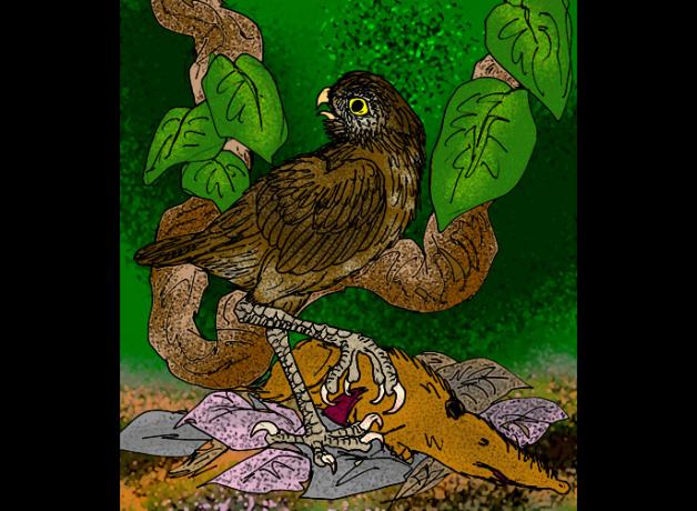 Illustration of Cuban Giant Owl, a brown bird with yellow beak and long powerful legs.