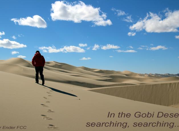 Searching in the Gobi Desert
