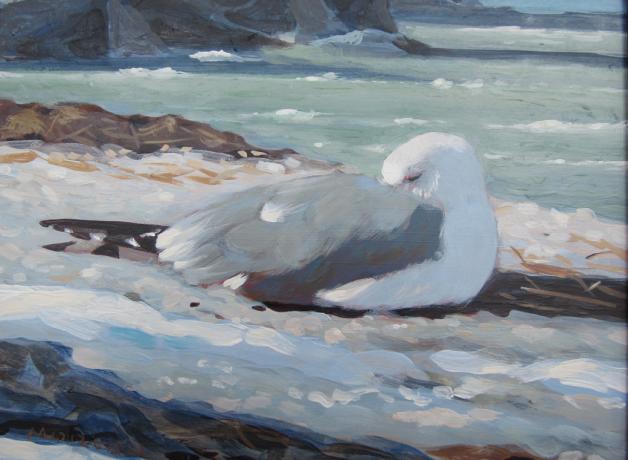 Gull