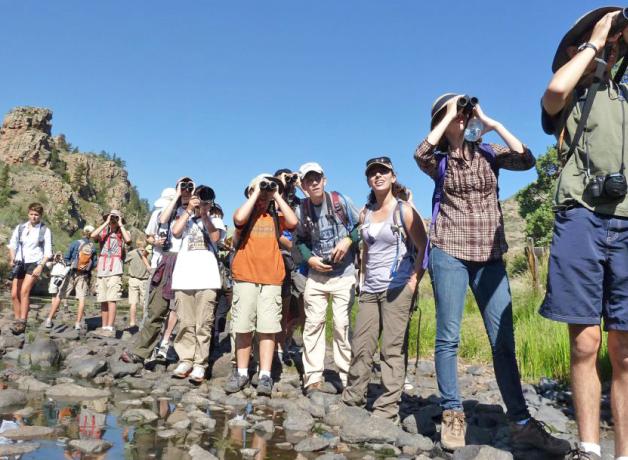Kids at ABA Birding Camp