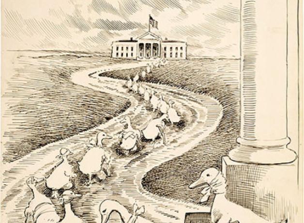 "Lame Duck" cartoon
