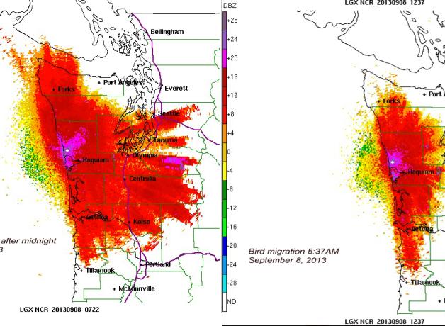 Two maps showing bird migration at night
