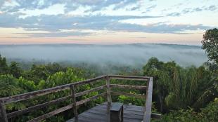 View overlooking an area of Amazon jungle