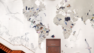 A full view of the Wall of Birds mural by Jane Kim at the Cornell Lab of Ornithology.