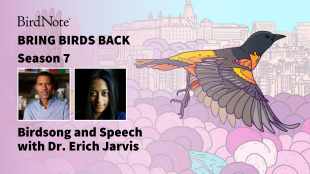 The Bring Birds Back logo with guest Dr. Erich Jarvis and interviewer, Anika Hazra