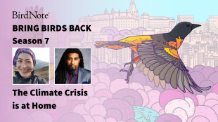 Bring Birds Back Season 7 Episode 5 with Dr. Rose Abramoff and Dr. Mustafa Santiago Ali