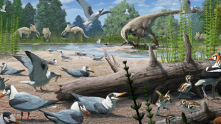 An illustration of Cretaceous Period birds with other dinosaurs from the same time period in the background.