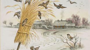 Illustration of bundle of grain, the julenek, put outside to feed birds on Christmas morning