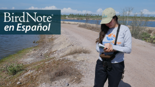 Juanita Fonseca stands in sunlight on the edge of a shrimp farm while she collects data about migrating shorebirds. "BirdNot en Español" appears in the top right corner.