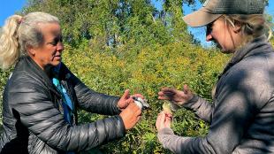 Two women face each other, each holding a small bird in their hands. Lisa Kizuik is on the left of the image.