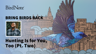 Bring Birds Back Season 8 Episode 5
