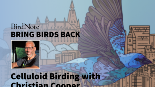 Bring Birds Back Season 8 Episode 6