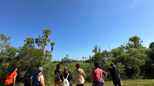 Small group of people stand in gravel looking toward marshland for birds