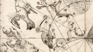A section of Johann Bayer's Uraniometria of Southern Birds