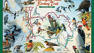 WA Birding Trail