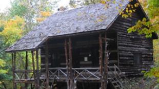 John Burrough's Cabin in New York