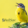 BirdNote's Virtual Storytelling Hour