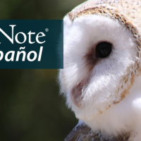 A Barn Owl looks to the left. "BirdNote en Español" appears in the upper left corner.