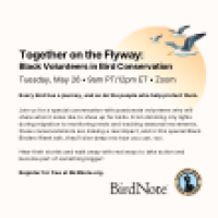 Black Birders Week 2026