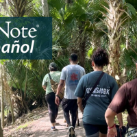 A group of hikers walking through a forest in Florida, seen from behind