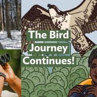 A graphic with the Bring Birds Back artwork on the right side, a headshot of Conor Gearin in the top-left corner, and a photo of Tenijah Hamilton looking through binoculars in the bottom-left corner.