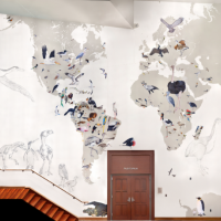 A full view of the Wall of Birds mural by Jane Kim at the Cornell Lab of Ornithology.