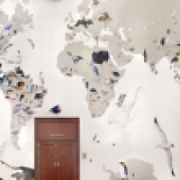 Wall of Birds