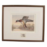 Mallard Duck Stamp