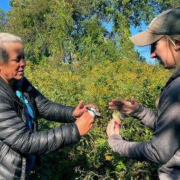 Two women face each other, each holding a small bird in their hands. Lisa Kizuik is on the left of the image.