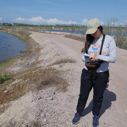 Juanita Fonseca stands in sunlight on the edge of a shrimp farm while she collects data about migrating shorebirds